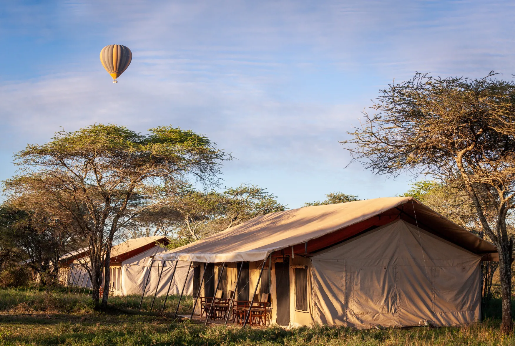 Campo Tendato nel Serengeti con Safari in Mongolfiera
