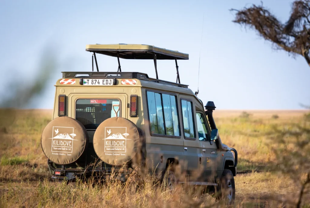 Jeep safari di Kilidove durante un Game drive