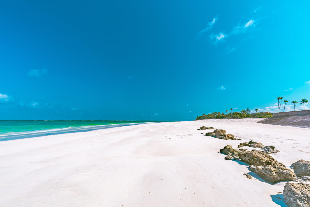 DIani