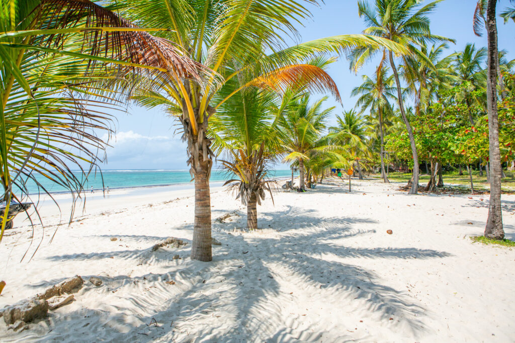 Diani