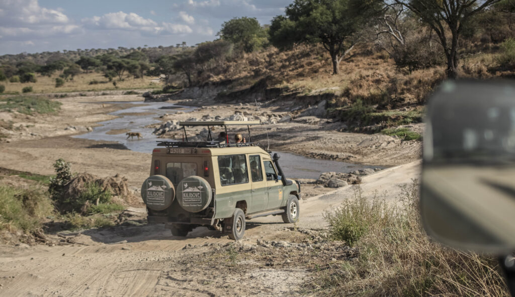 Jeep Safari, Lago Manyara. Tanzania