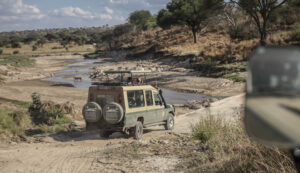 Jeep Safari, Lago Manyara. Tanzania