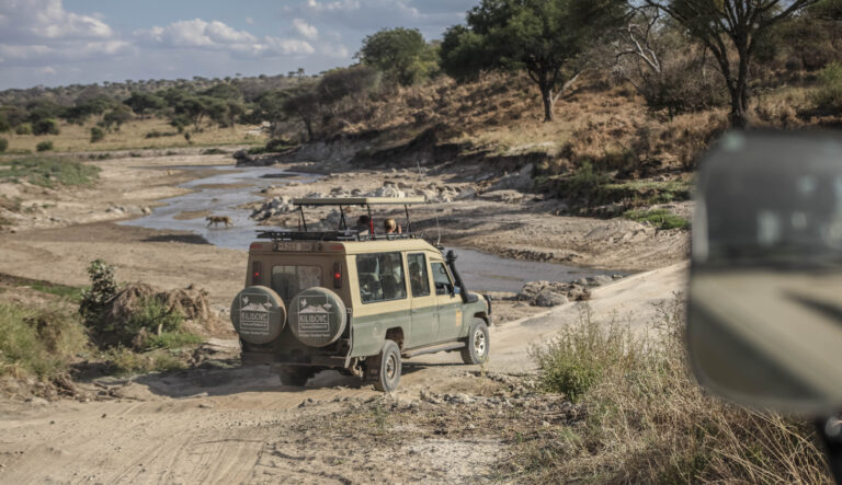 Jeep Safari, Lago Manyara. Tanzania