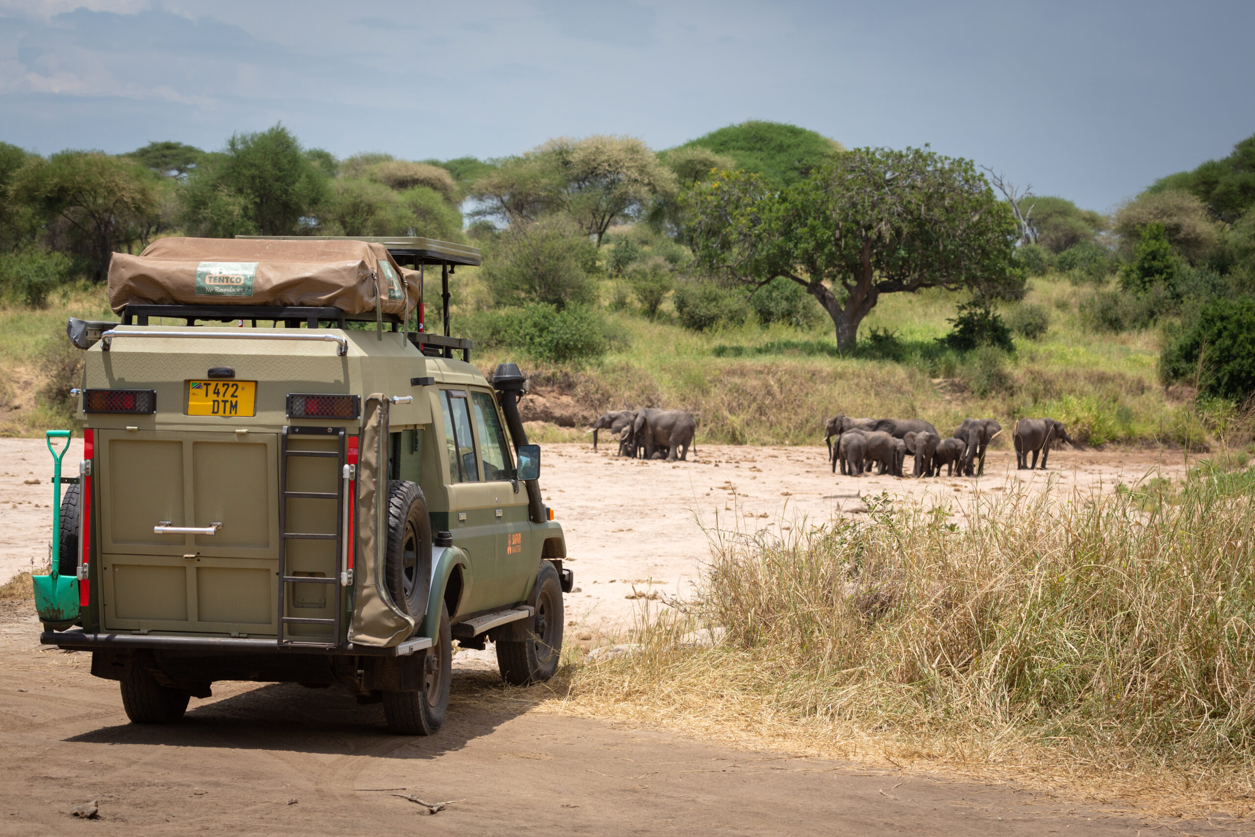 SafariMasters Tarangire 032025-24
