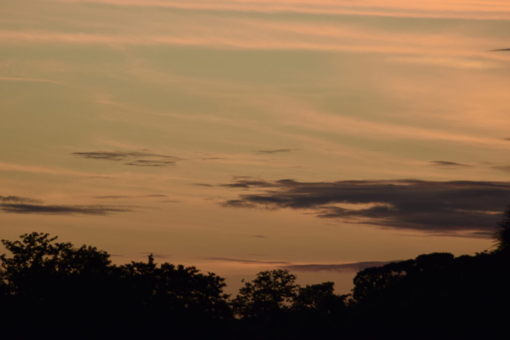 _DSC0875