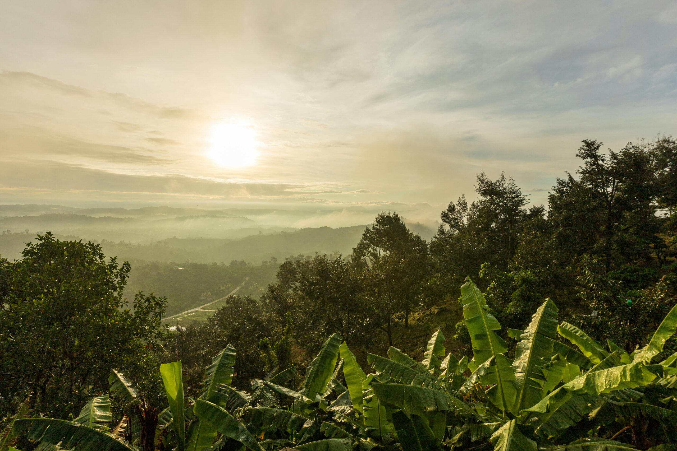 Rwanda -MappIt