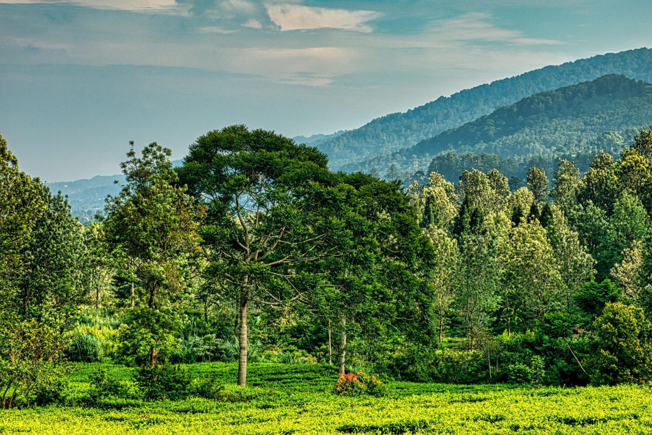 Rwanda -MappIt